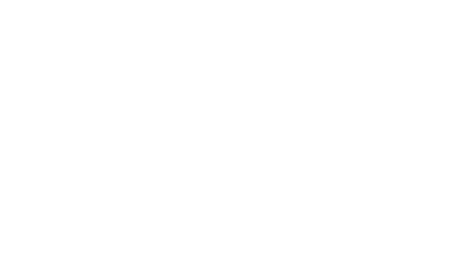 Bricata Partner ECOLAB Reverse Logo